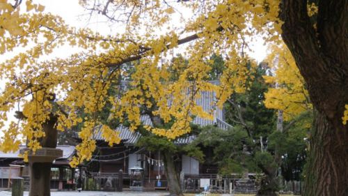 仙台市　陸奥国分寺