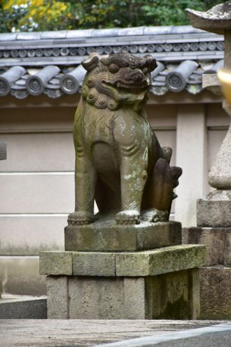 住吉神社の狛犬達