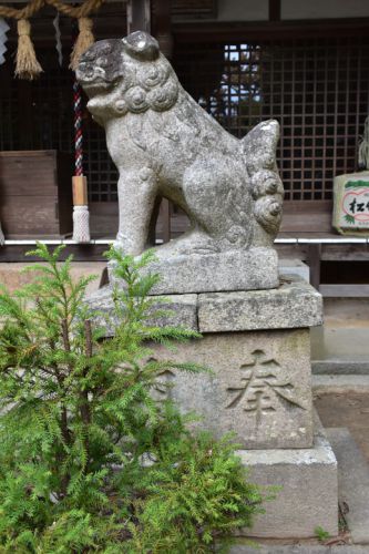 売布神社の狛犬達