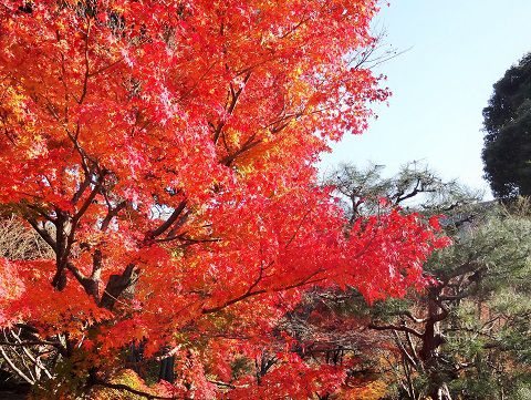 御朱印ガイド－京都の寺社を歩く御朱印の旅