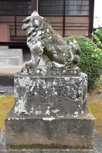 御嶽神社の狛犬達