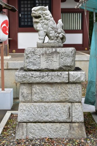 大泉氷川神社の狛犬達