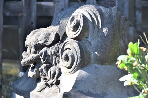 泉岳寺の狛犬