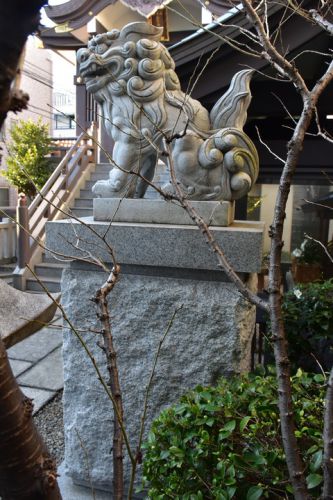 神楽坂若宮八幡神社の狛犬達