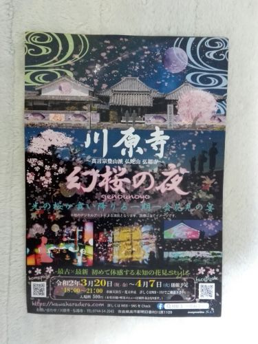 【お知らせ】３月20 日から４月７日まで「川原寺　幻桜の夜」開催予定