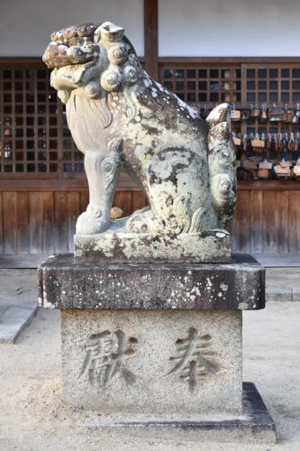 糸井神社の狛犬達