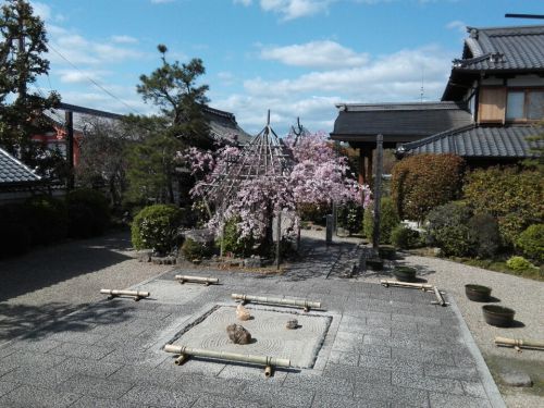 ４月５日　法住寺(京都市)でいただいた奉納記念の御朱印と書き置き御朱印