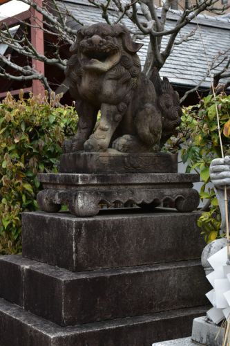 京都ゑびす神社の狛犬達