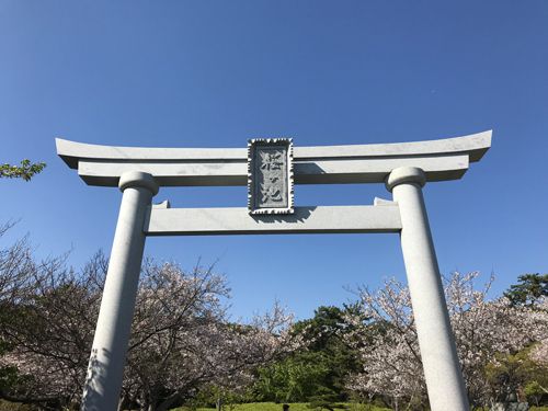 池宮神社の桜ヶ池