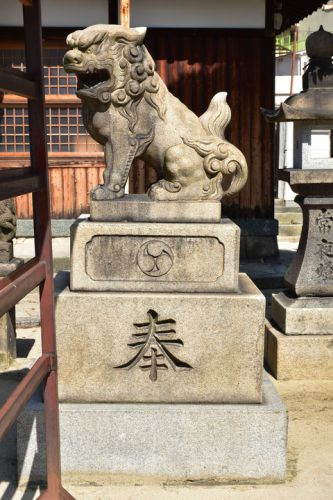 大和田住吉神社の狛犬達