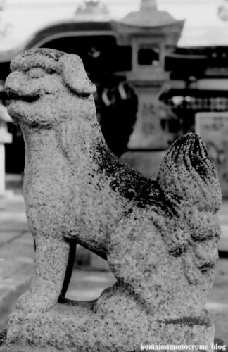 狛犬たちのモノローグ　　File912　　神須牟地神社　　其の弐