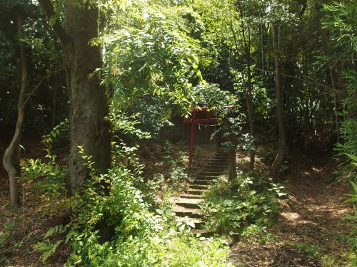 稲荷神社（横浜市緑区北八朔町1247） - 雑木林の中に佇むお稲荷さま