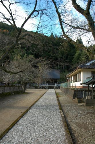 【篠山→黒井】おさらいポタ＜１０＞再訪：熊野神社（野瀬）