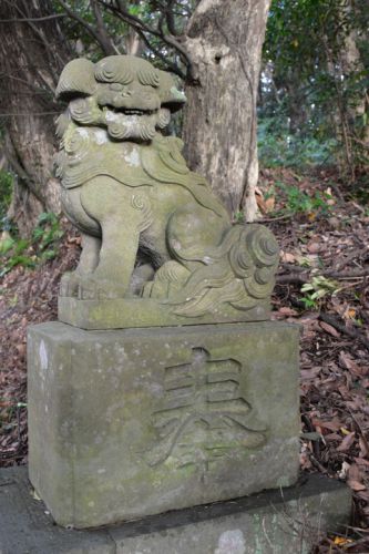 畑沢浅間神社の狛犬達