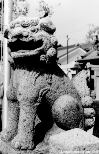 狛犬たちのモノローグ　　File915　　高崎神社　　其の壱