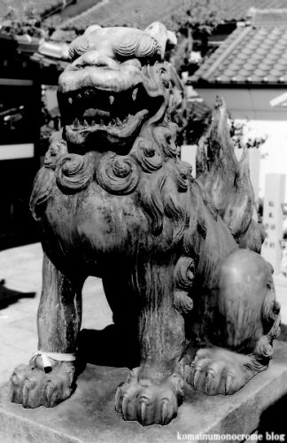 狛犬たちのモノローグ　　File916　　高崎神社　　其の弐