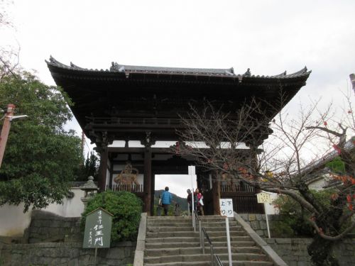 【奈良】紅葉の合間から覗く三重塔が美しい「當麻寺」の御朱印