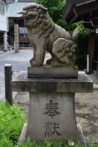 産土神社の狛犬達