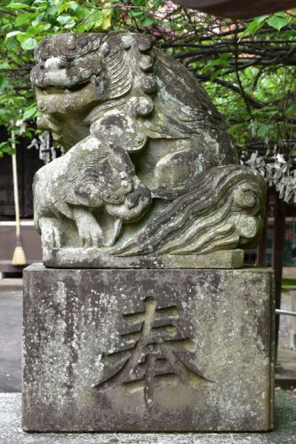 阿豆佐味天神社の狛犬達