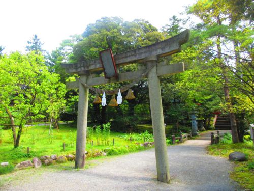 【石川】日本三名園の一つ「兼六園」に鎮座する「金澤神社」の鳳凰の御朱印帳＆御朱印