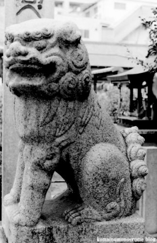 狛犬たちのモノローグ　　File937　　富島神社　　其の壱