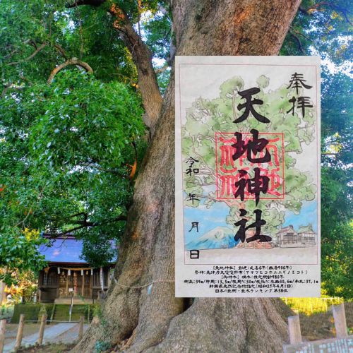 【静岡】天然記念物「大楠」がある「天地神社」でいただいたステキな【御朱印】