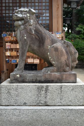 須佐男神社の狛犬達
