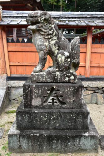 素戔嗚神社の狛犬達