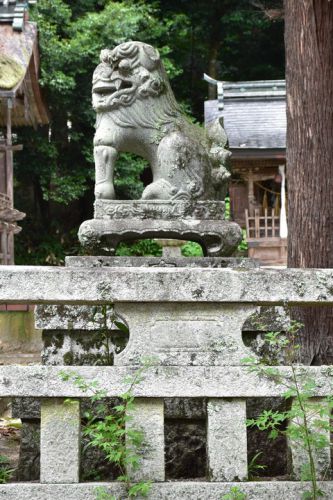 樹下神社（大津市木戸）の狛犬達