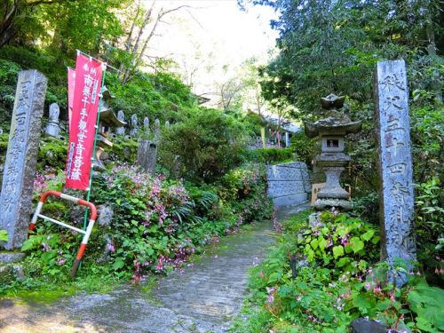 横浜・星川 杉山神社の年越の祓と2020年振り返り