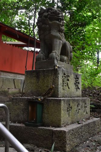 春日神社の狛犬達