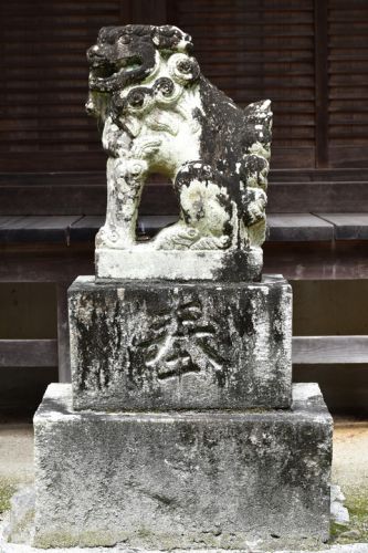 杵築神社の狛犬達