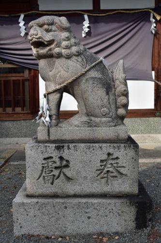 赤坂神社の狛犬達