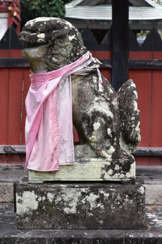 阿波神社の狛犬達