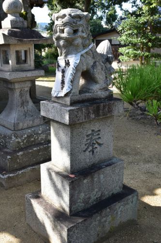 素戔嗚尊神社の狛犬達