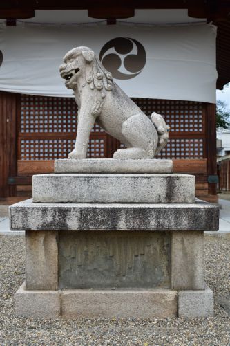 澁川神社の狛犬達
