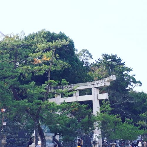 １１月２２日厳島神社・大元神社
