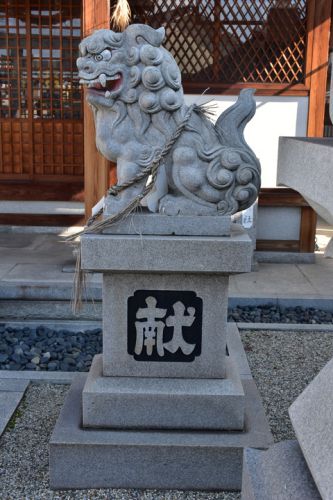 角田神社の狛犬達