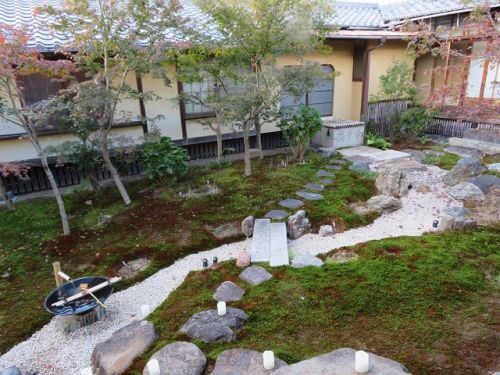 京を巡る(10)妙顕寺「五色椿と赤松の庭」
