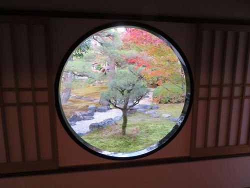 京を巡る(12)妙顕寺　光琳曲水の庭　その弐