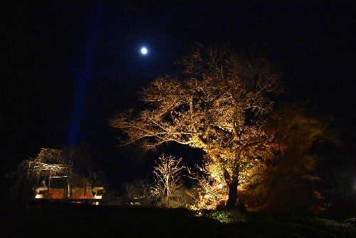 清水寺 ライトアップ夜間特別拝観（2020年11月28日参拝）