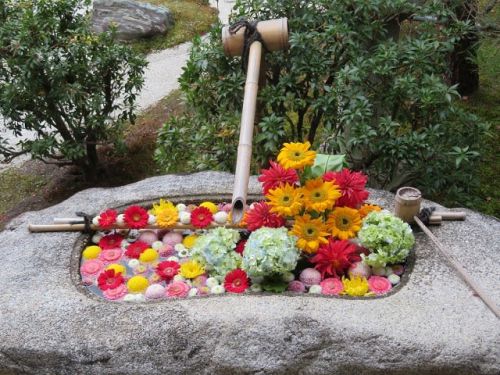 京を巡る(13)妙顕寺 花手水と秀吉