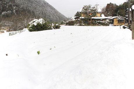 雪の京都　大原の里と寂光院