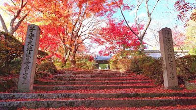 西恩寺(南河内郡千早赤阪村)　・紅葉が美しい融通念仏宗の寺院