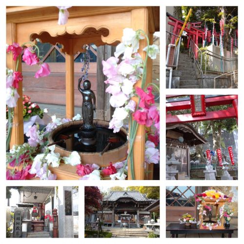 横浜 和田不動尊・真福寺の花まつり