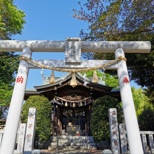 本日の週詣り〜大和田日枝神社