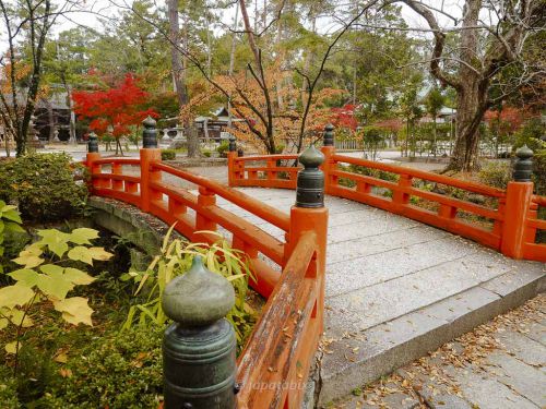 【京都 今宮神社の紅葉2021年版】紅葉の見頃や見どころを解説！