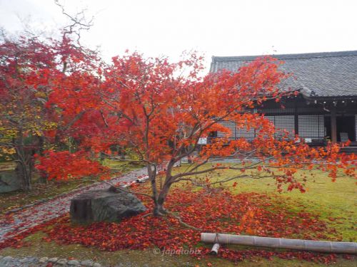 【京都 勧修寺の紅葉2021年版】名称勧修寺庭園と氷室の池の紅葉は見事！紅葉の見頃や見どころを解説！