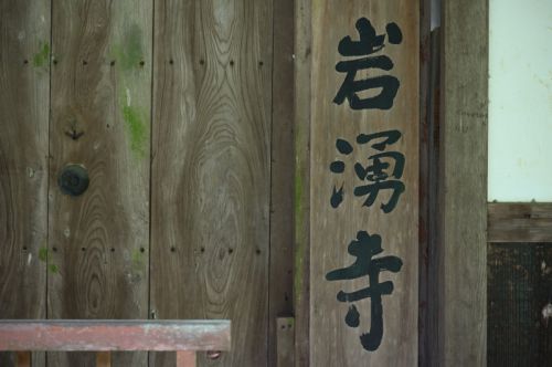 岩湧寺の秋海棠