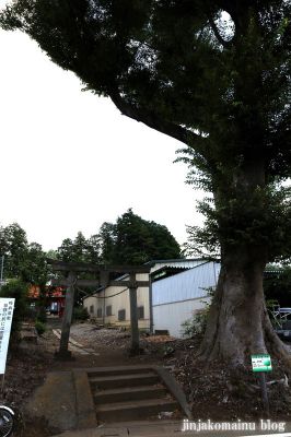 氷川神社　　所沢市日比田
